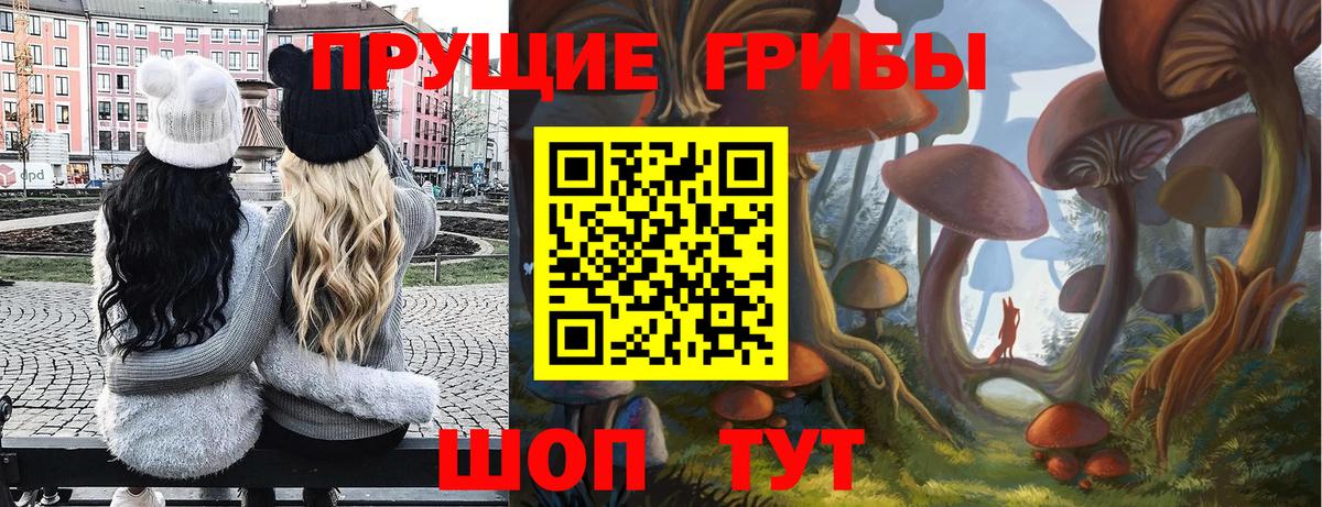 Псилоцибиновые грибы Бахчисарай