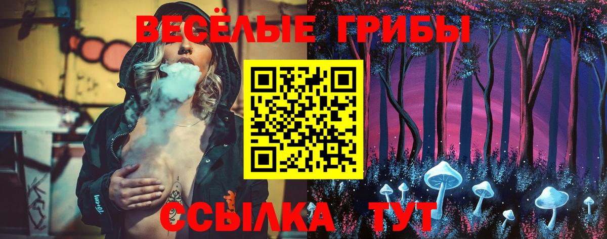 Псилоцибиновые грибы GOLDEN TEACHER  Вход с VPN  Бахчисарай 